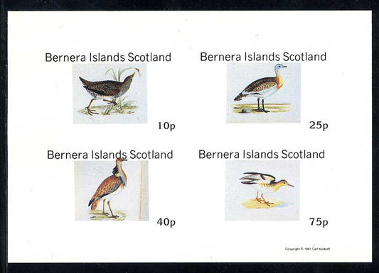 Bernera Water Birds Imperf