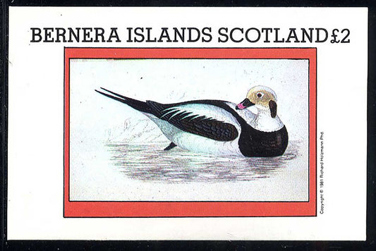 Bernera Birds Of The Water £2