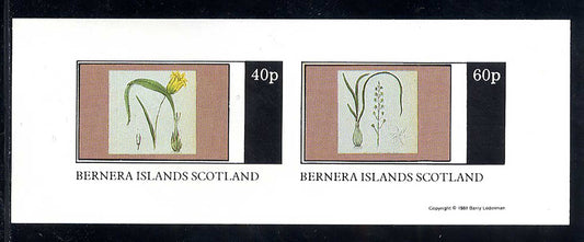 Bernera Bulp Flower Drawings Imperf
