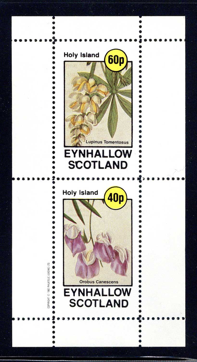 Eynhallow Polychromatic Flowers