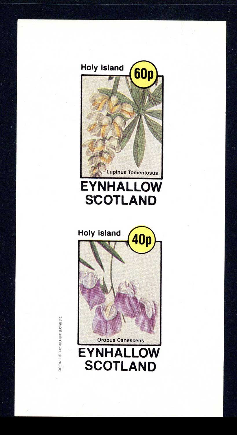 Eynhallow Polychromatic Flowers Imperf