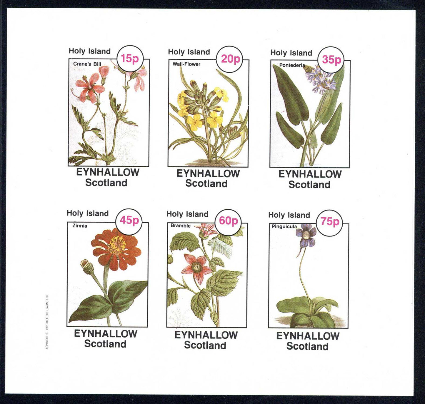 Eynhallow Vivid Flowers Imperf