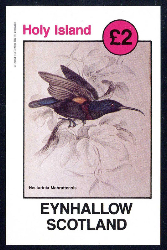 Eynhallow Variety Of Nectarinia £2