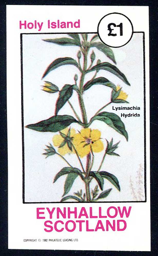 Eynhallow Cherry Flora £1