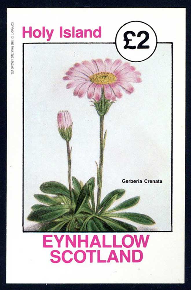 Eynhallow Cherry Flora £2