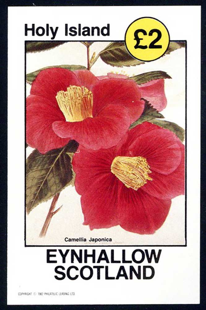 Eynhallow Images Of A Floral Rainbow £2