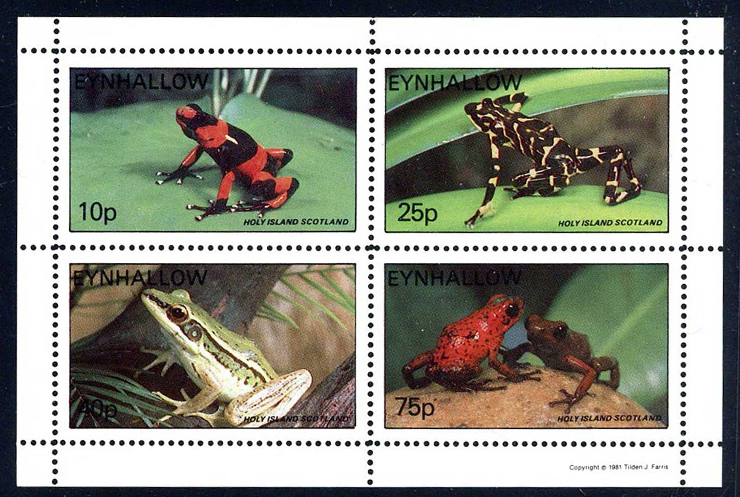 Eynhallow Erotic Frogs