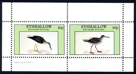 Eynhallow Wading Birds