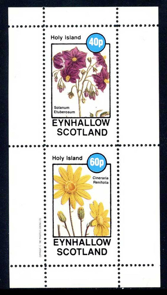 Eynhallow Cheerful Flora