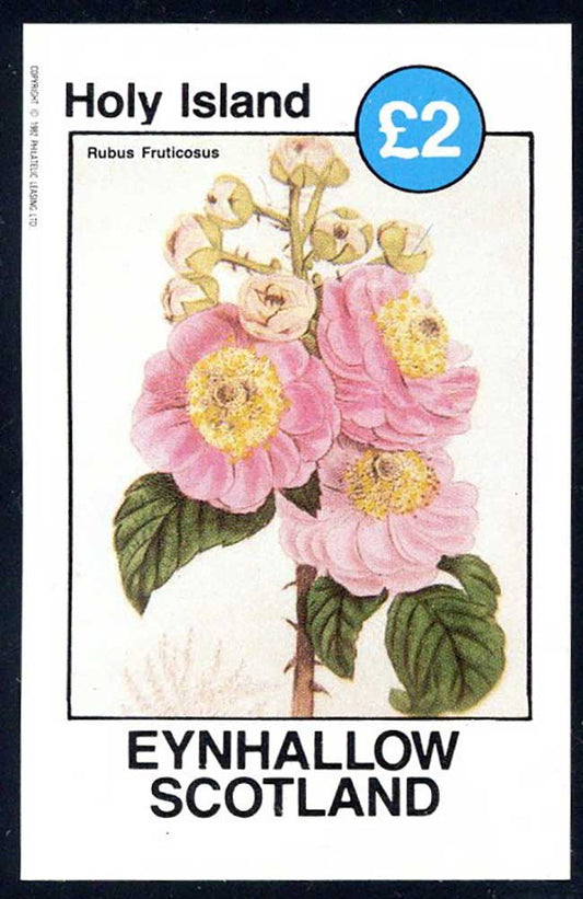 Eynhallow Cheerful Flora £2
