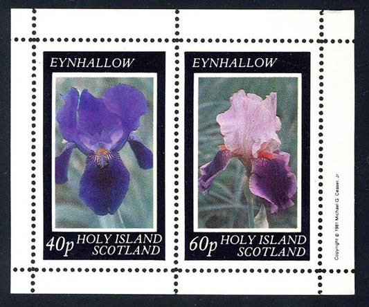 Eynhallow Irises