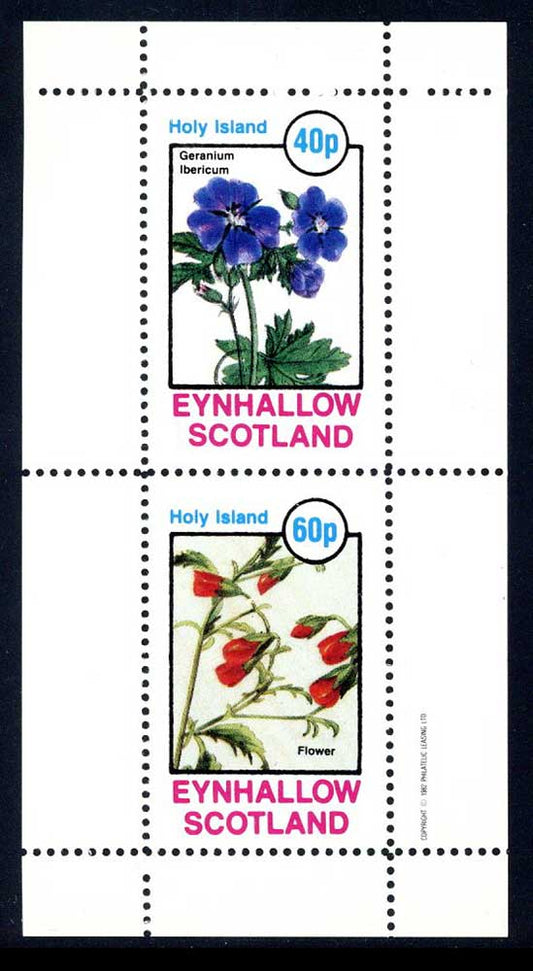 Eynhallow Colorful Flowers