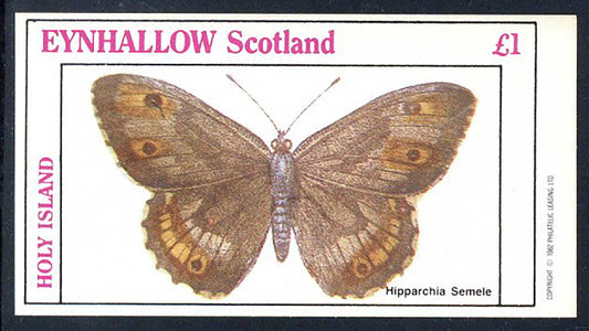 Eynhallow An Assortment Of Butterflies £1