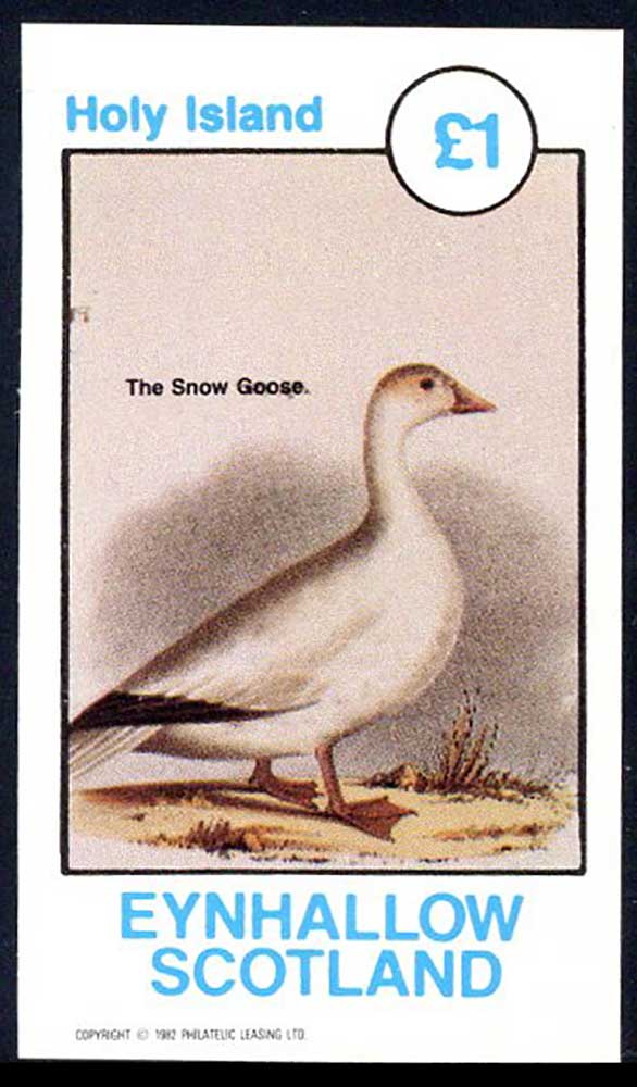 Eynhallow Mixed Fowl And Birds £1