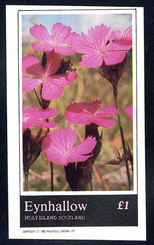 Eynhallow Wild Flowers £1