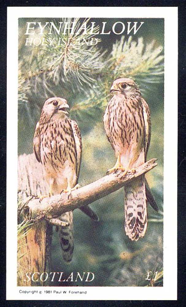 Eynhallow Birds Of Prey £1
