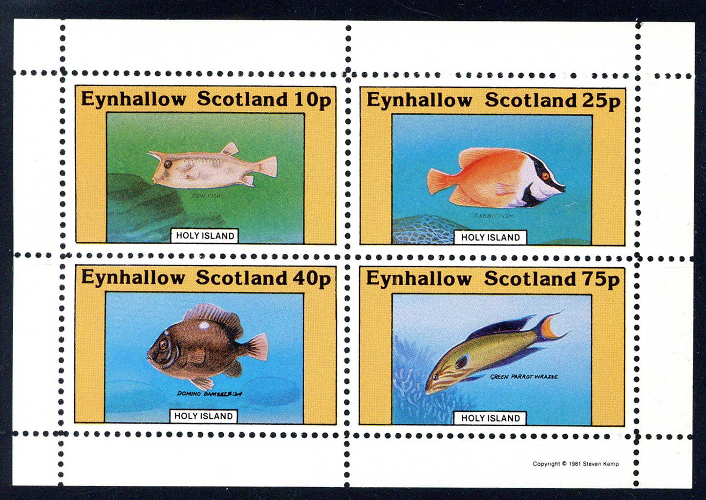 Eynhallow Tropical Fish