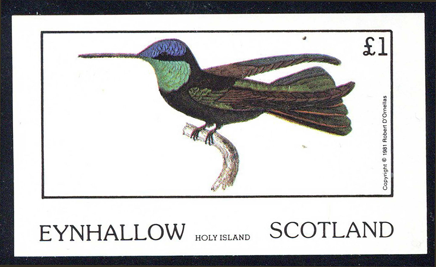 Eynhallow Humming Birds £1