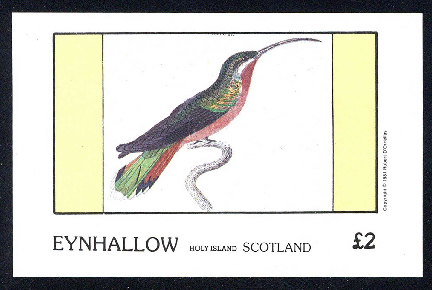 Eynhallow Humming Birds £2