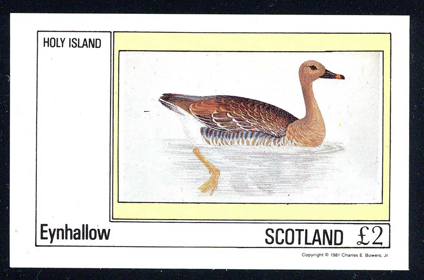 Eynhallow Geese £2