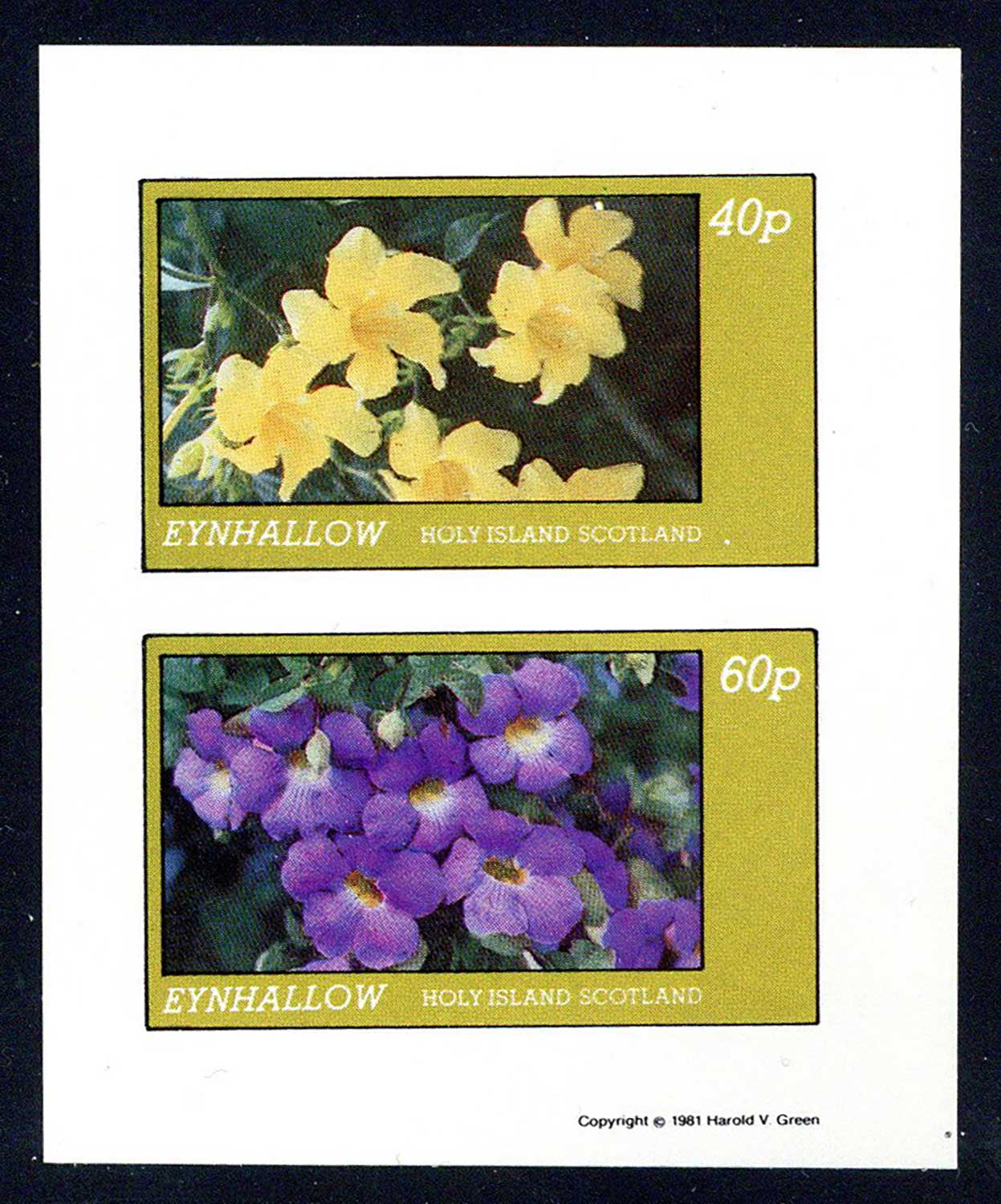 Eynhallow Flowers Imperf