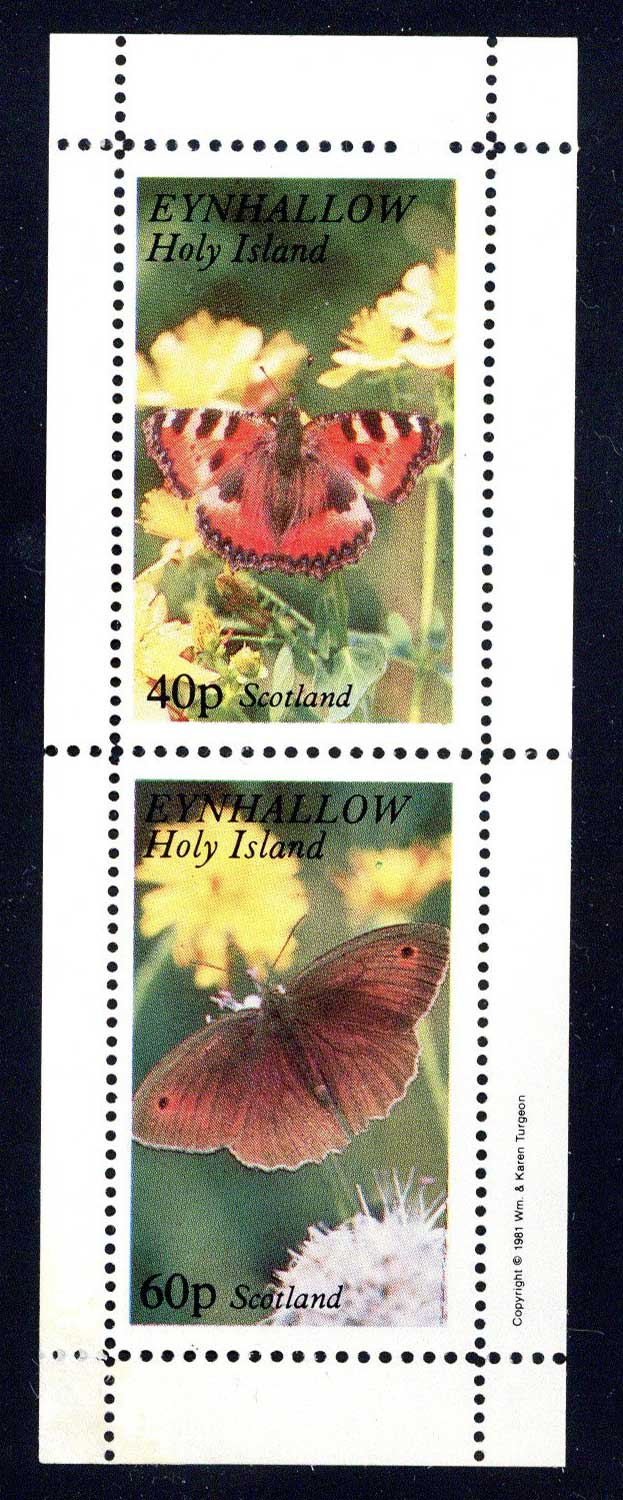 Eynhallow Butterflies