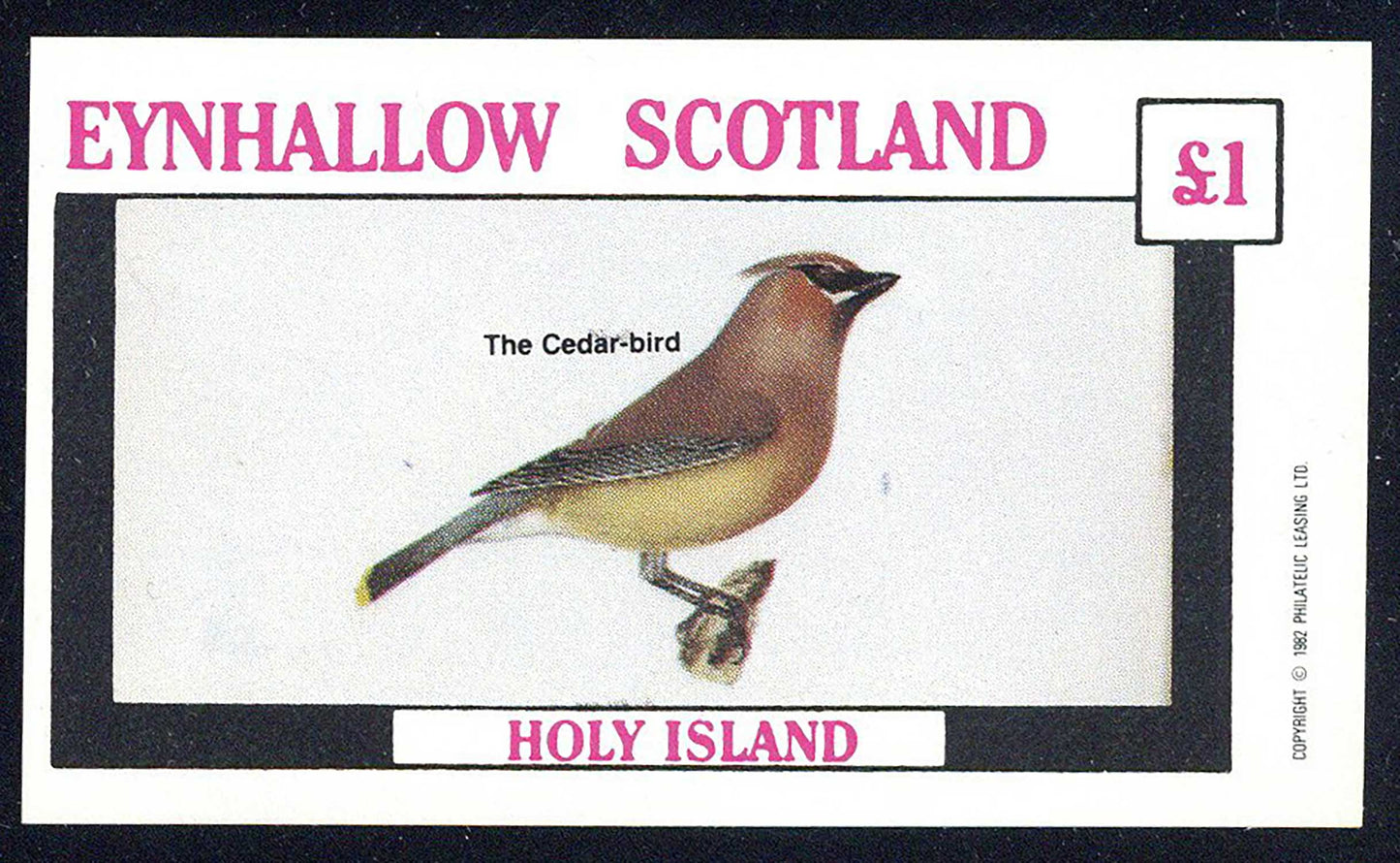 Eynhallow Small Birds £1