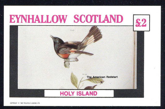 Eynhallow Small Birds £2
