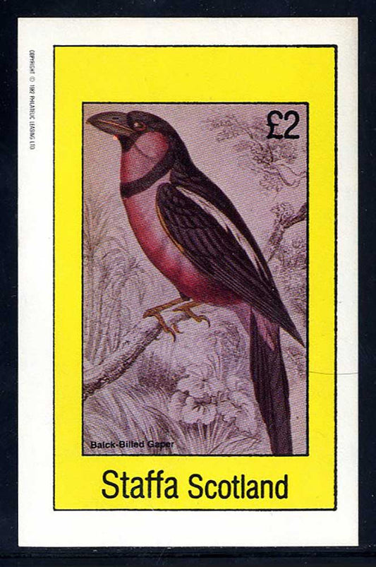 Staffa Birds Of Britain £2