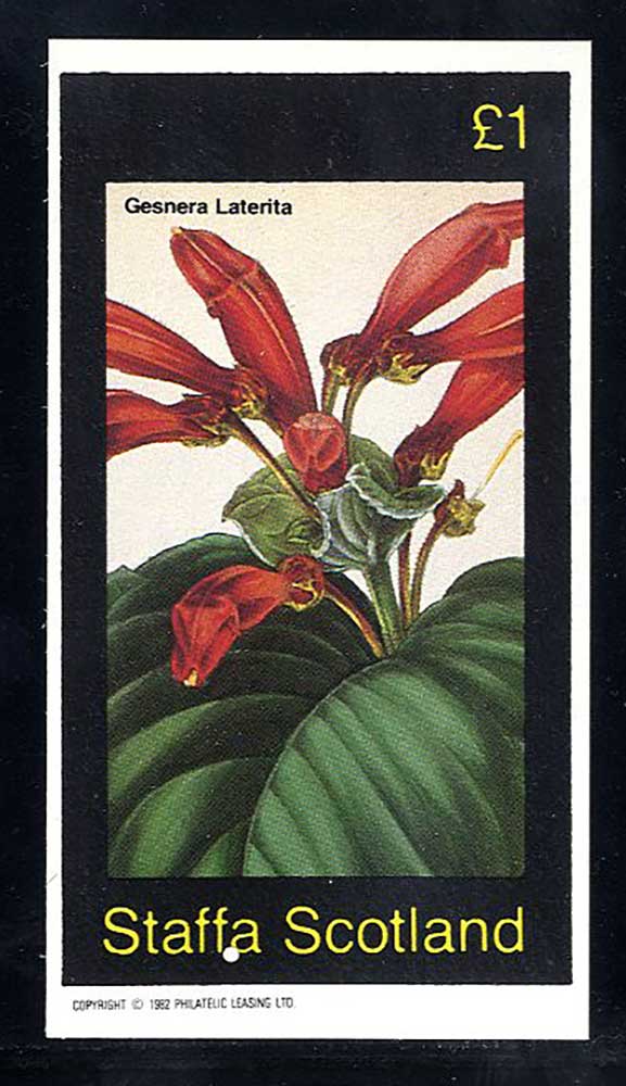 Staffa Beautiful Blooms £1