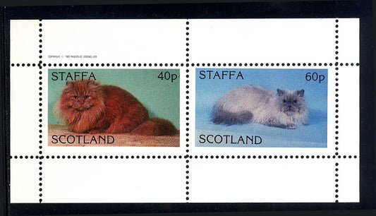 Staffa Long Haired Cats