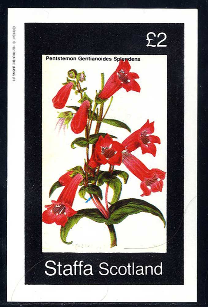 Staffa Colorful Gardens £2