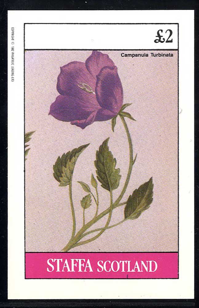 Staffa Alpine Plants £2