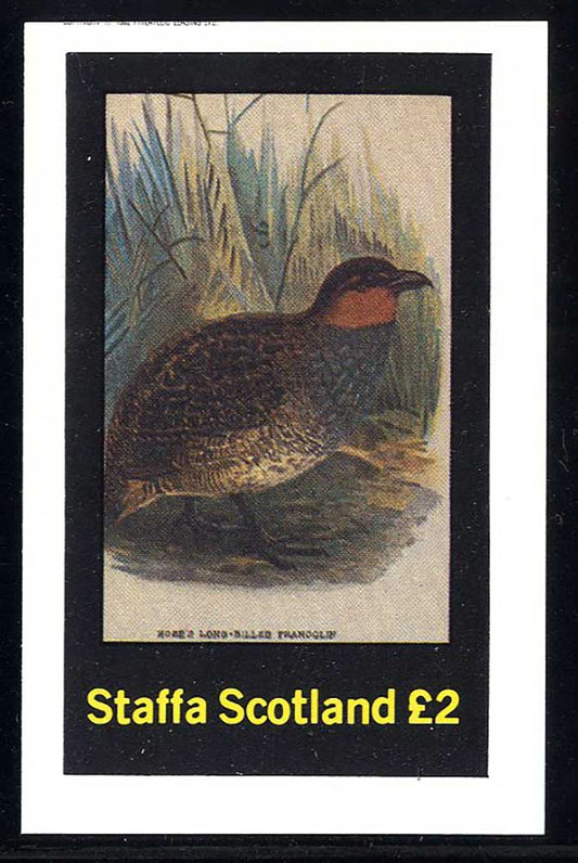 Staffa Game Birds Print £2