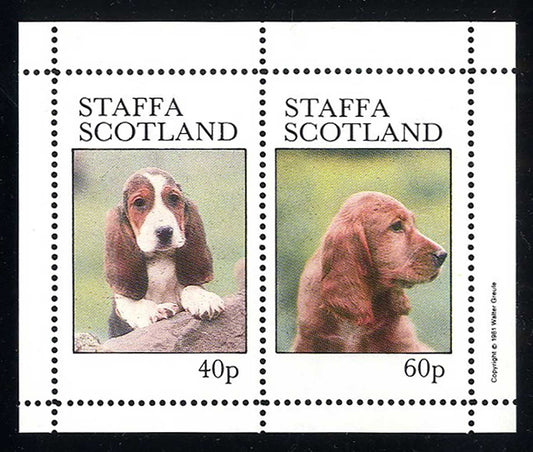Staffa Dog Portraits