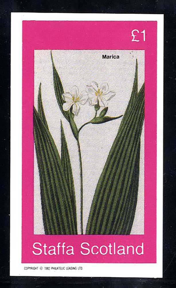 Staffa Nature'S Bowers £1