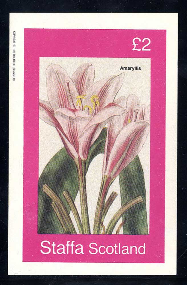 Staffa Nature'S Bowers £2