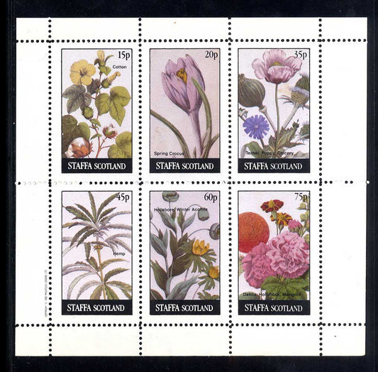 Staffa Picture Book Flowers I