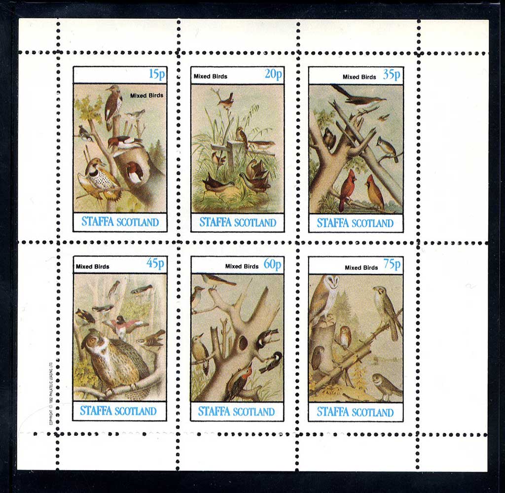 Staffa North America Birds