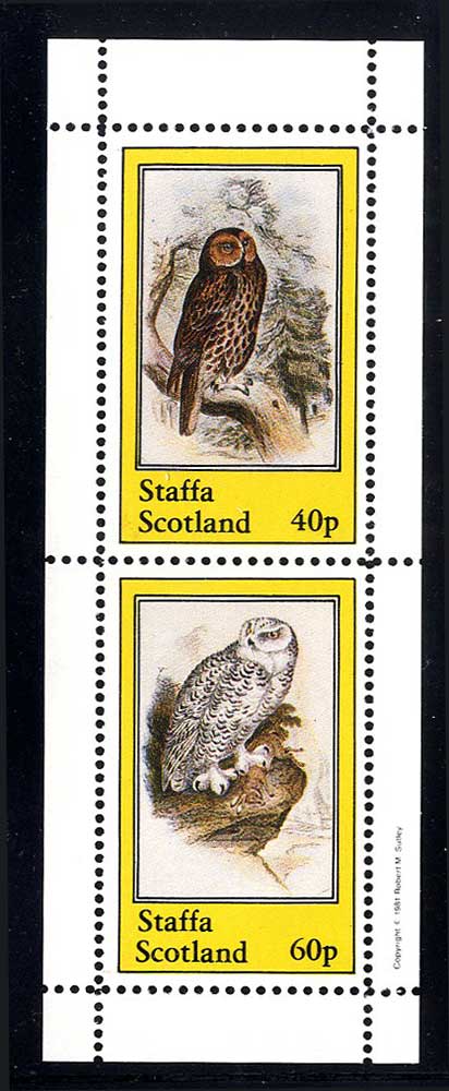 Staffa Owls