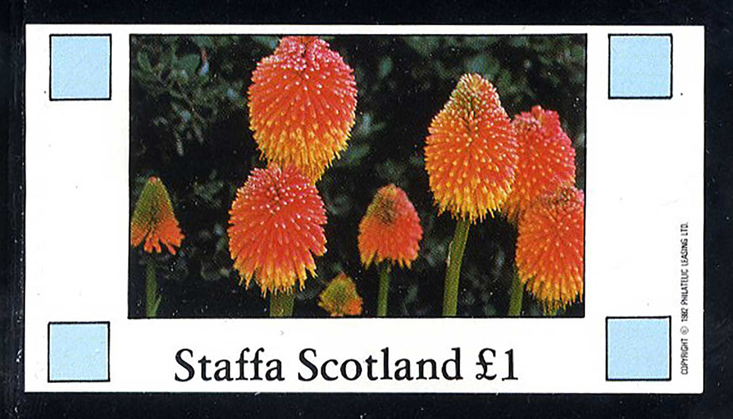 Staffa Field Flowers I £1