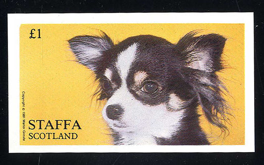 Staffa Dog Portraits £1