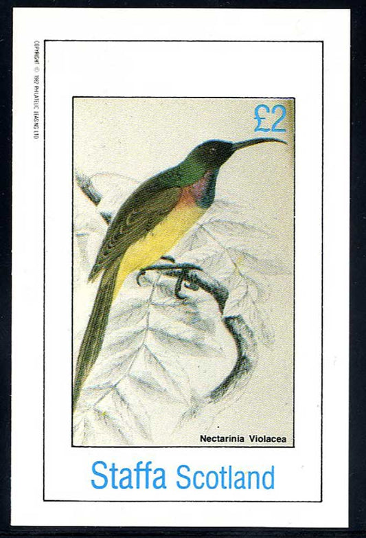 Staffa Colorful Perched Birds £2