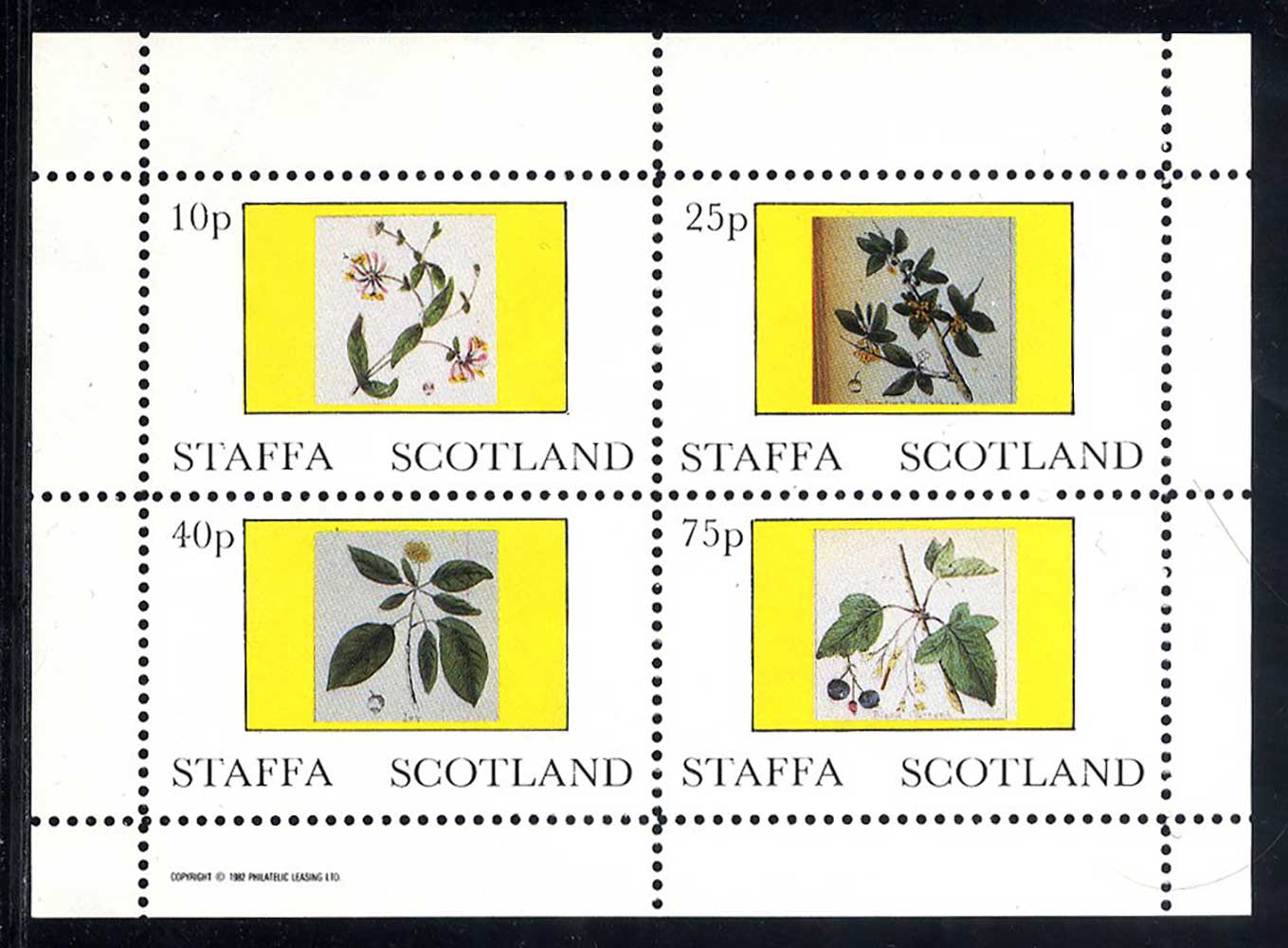 Staffa Botanical Prints