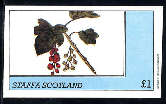 Staffa Botanical Prints £1