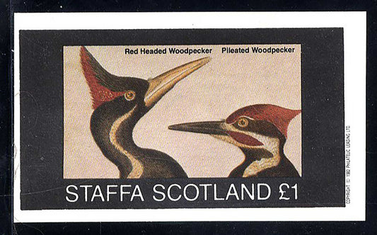 Staffa Ornithology - American £1