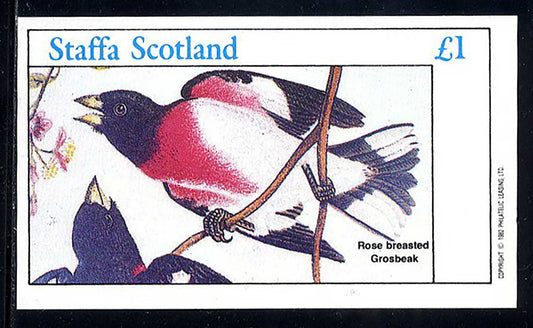 Staffa Various US Birds £1