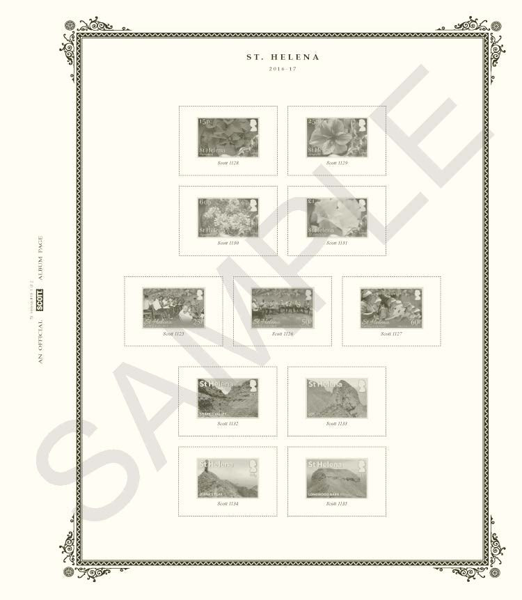 Scott St. Helena 2025 #25