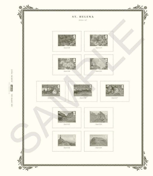 Scott St. Helena 2025 #25