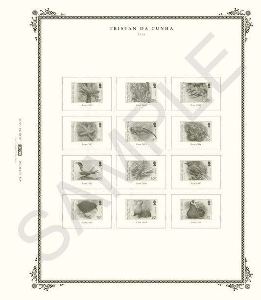 Scott Tristan da Cunha 2025 #28